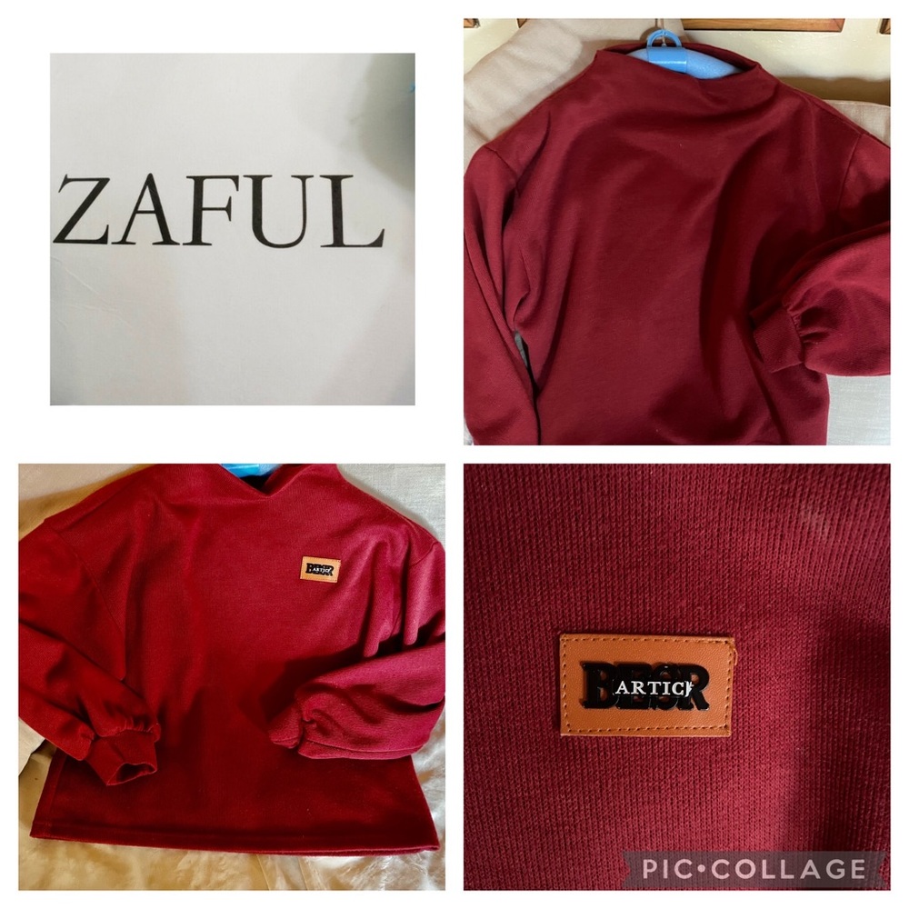 ARTIC BESR By ZAFUL Rust Amber  Mock Neck Cozy Sweater Factory cropped.